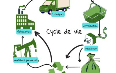 Analyse du cycle de vie et écologie